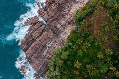 NEXUSCORP-INTERNATIONAL-Coconut-Tree-Hill-min
