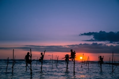 NEXUSCORP-INTERNATIONAL-Stilt-fisherman-min